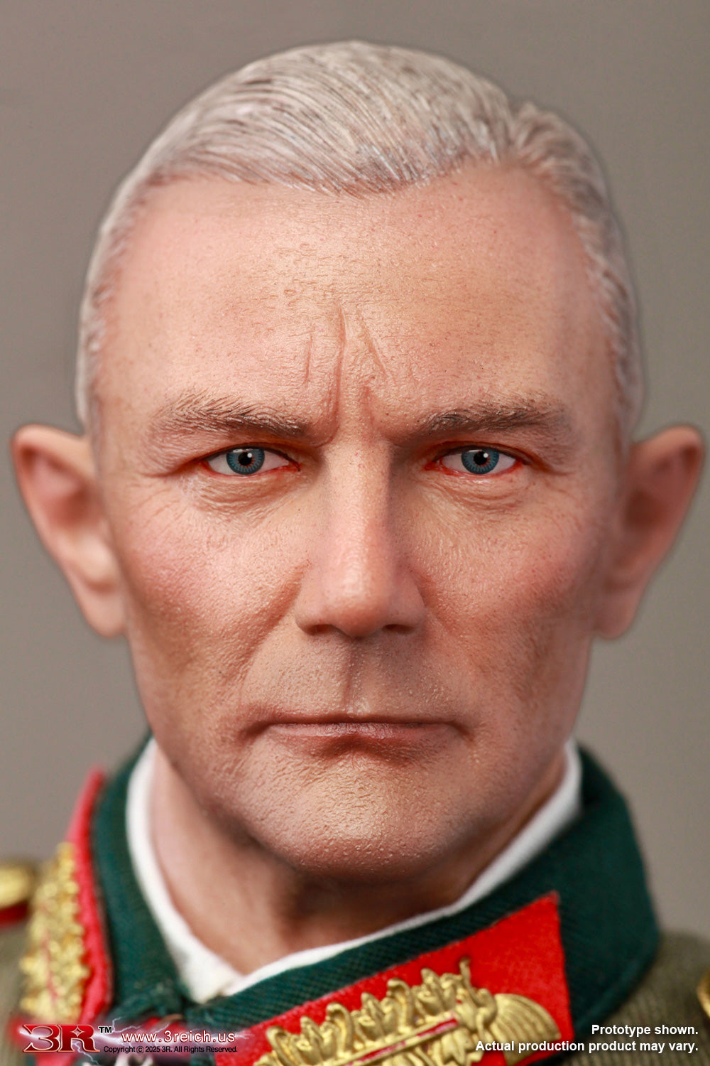 3R Dragon In Dreams DID WWII German Fedor von Bock Generalfeldmarschall GM656 1/6 Scale